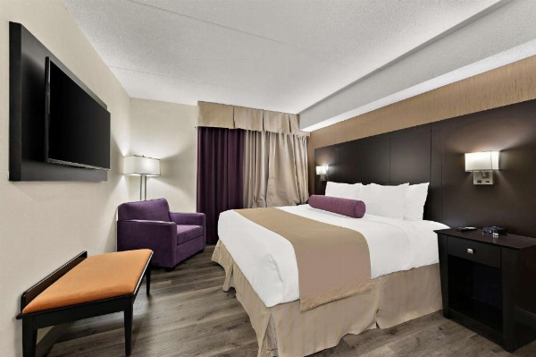 Best Western Plus Toronto North York Hotel & Suites image 24